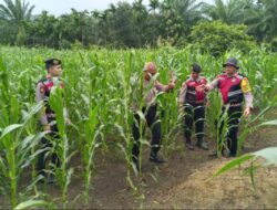 Dukung Ketahanan Pangan Nasional, Sat Samapta Polres Aceh Selatan Cek Lahan Produktif di Trumon Timur