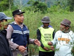 Bripka Adi Syafnur Arisal, Polisi di Aceh yang Inspiratif Mengubah Lahan Ganja jadi Lahan Palawija