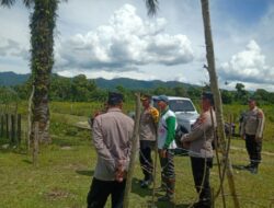 Dukung Program Asta Cita, Kapolres Aceh Selatan cek lahan kesiapan penanaman jagung serentak