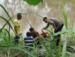 Seorang IRT Nekat Lompat ke Sungai, Diduga Hendak Akhiri Hidup