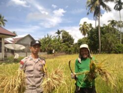 Dukung Ketahanan Pangan, Personel Polsek Labuhanhaji Timur Sambangi Petani Padi